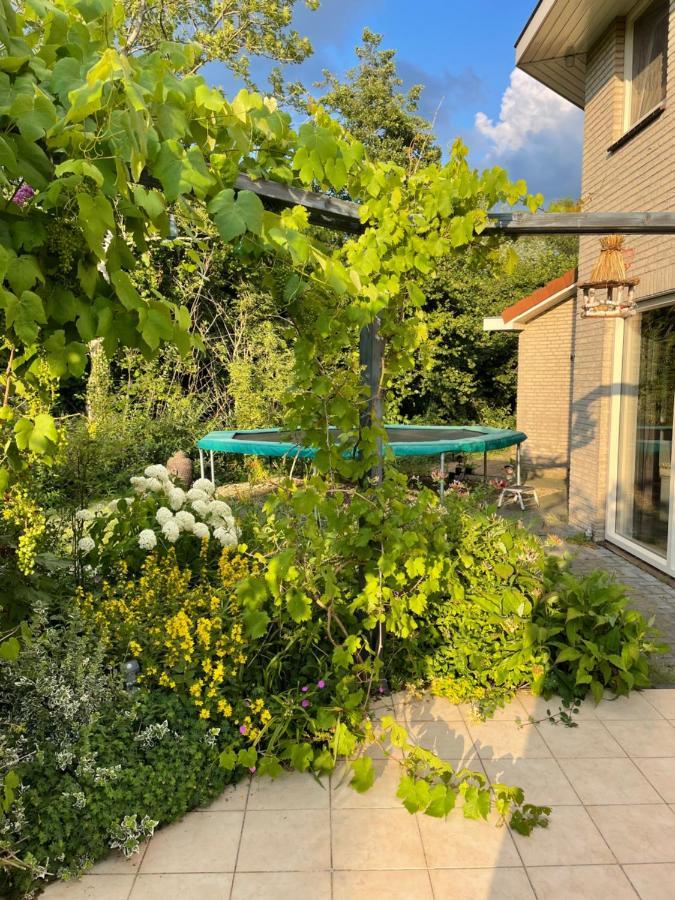 B&B Eibergen Met Prive Zwembad En Sauna Exterior photo